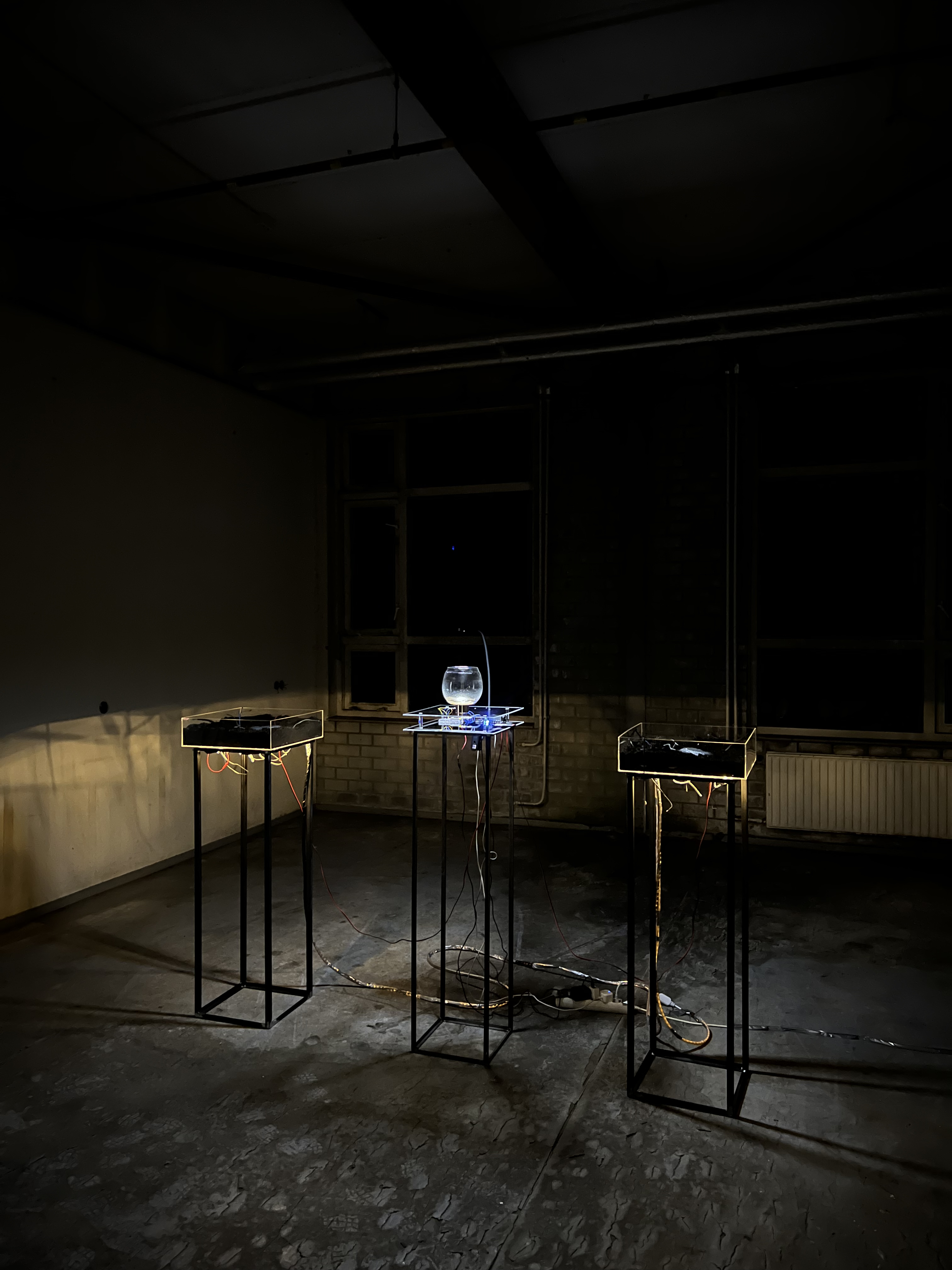 Placeholder 2