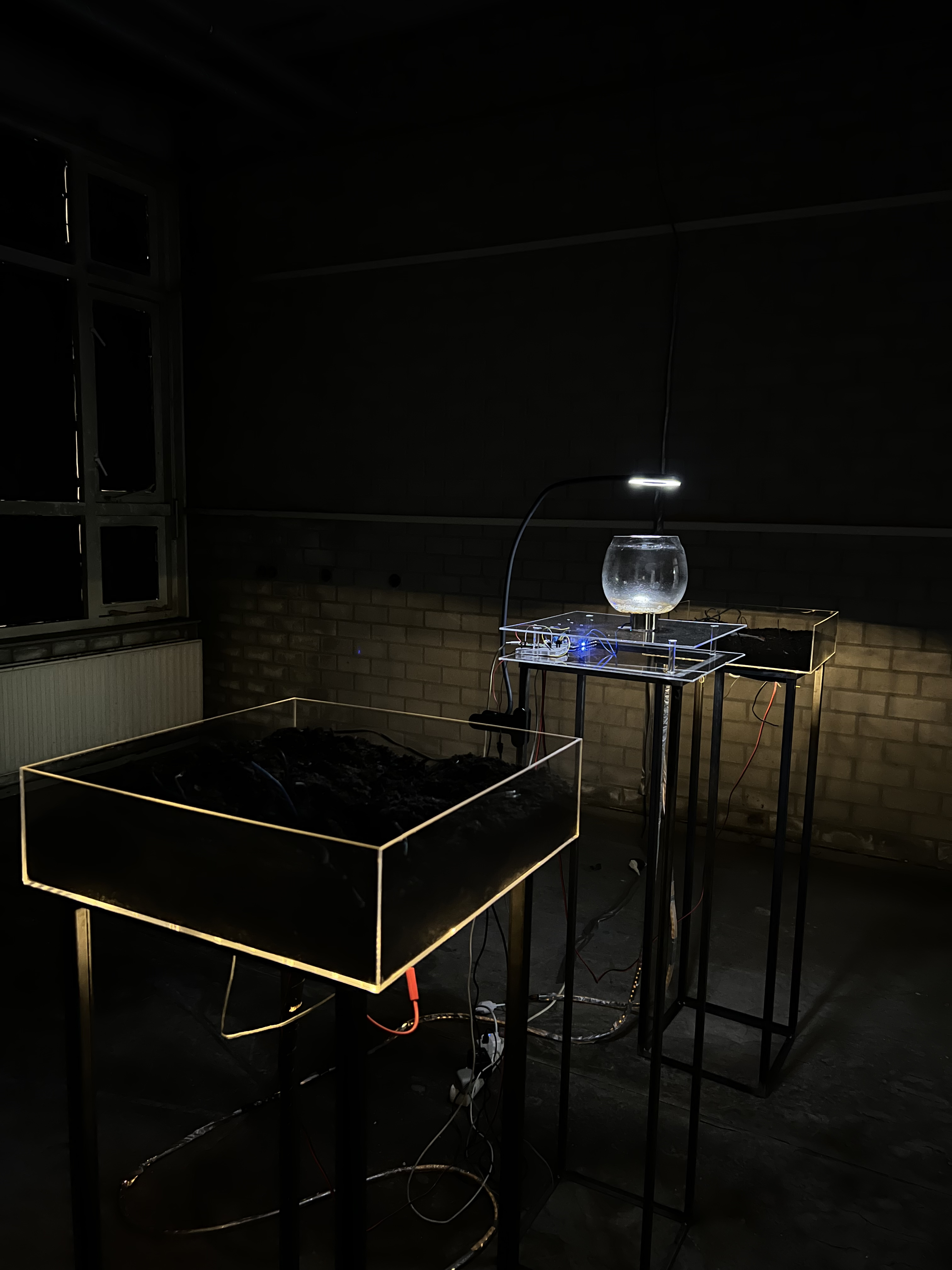 Placeholder 1