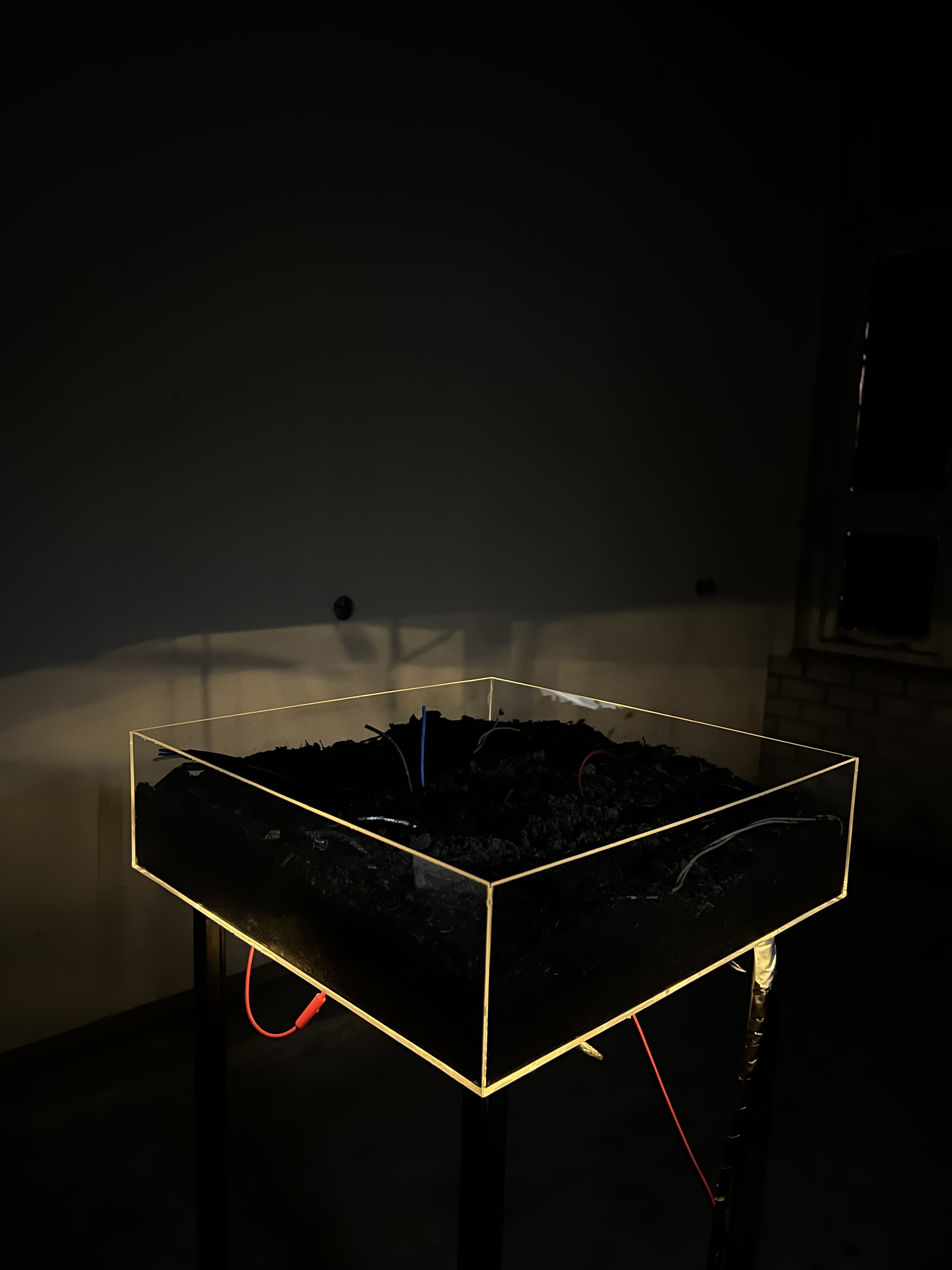 Placeholder 4